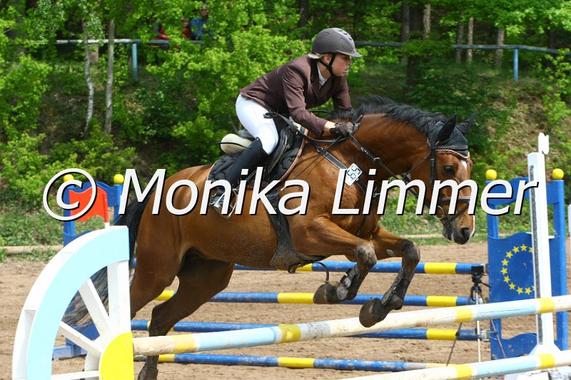 104M3465_Companion_Punkte L.JPG